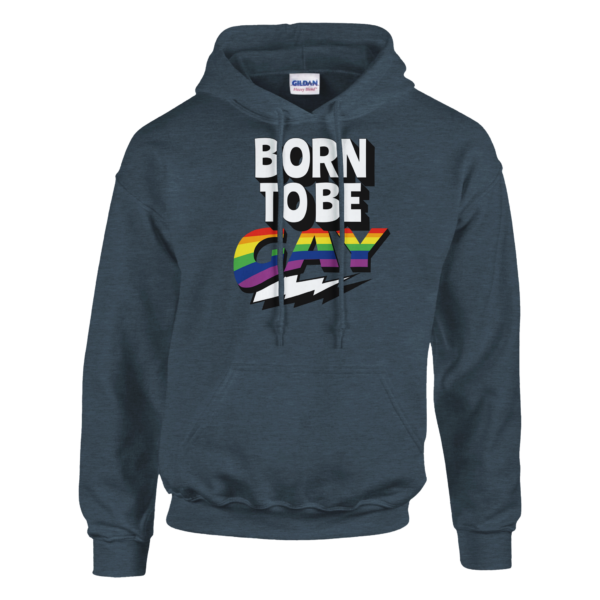 Born To Be Gay – Pullover Hoodie