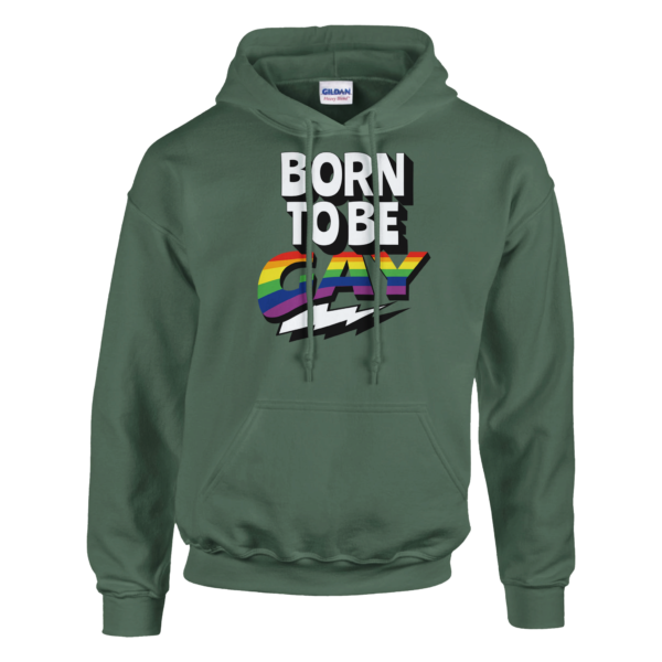 Born To Be Gay – Pullover Hoodie