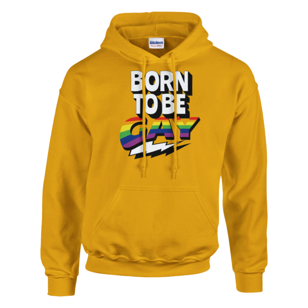 Born To Be Gay – Pullover Hoodie